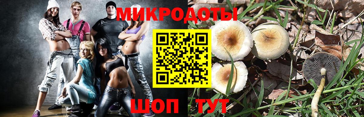 Нурлат  Псилоцибиновые грибы GOLDEN TEACHER  Псилоцибиновые грибы мицелий  хочу   Вход с VPN 